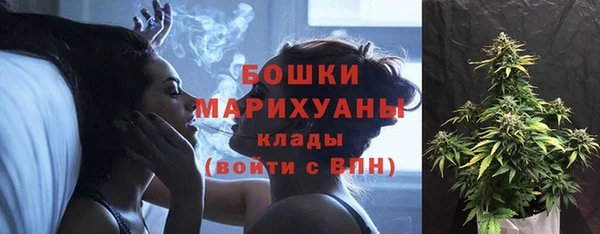 apvp Мегион