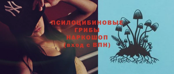 спайс Медвежьегорск