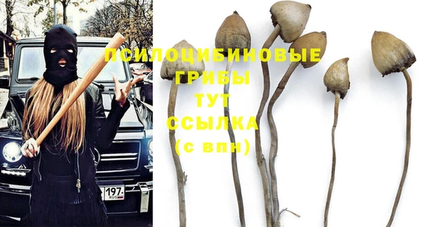 apvp Мегион