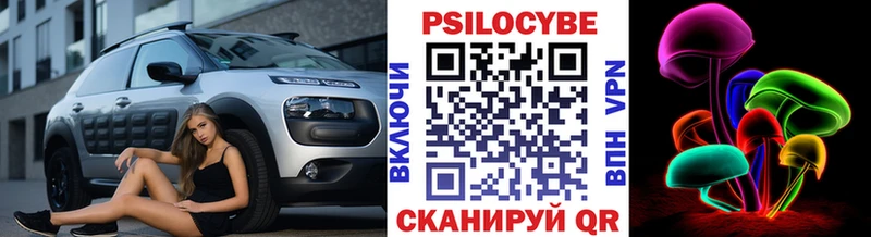 Псилоцибиновые грибы Psilocybe  что такое наркотик  Заозёрск 