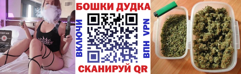 купить закладку  Заозёрск  Бошки марихуана индика 